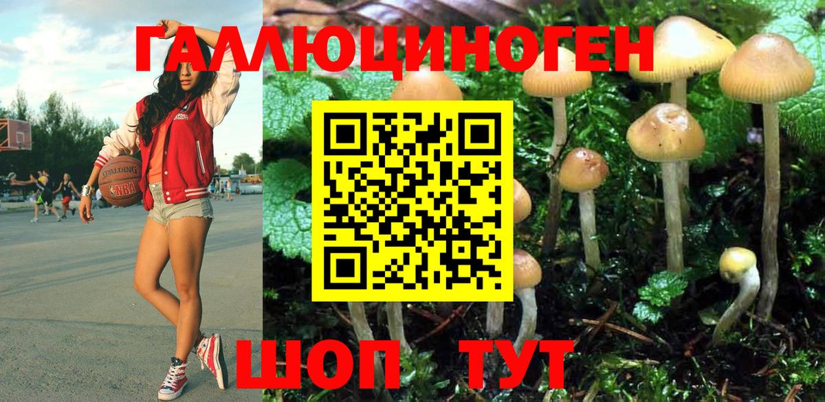 Серпухов  Галлюциногенные грибы Cubensis  Вход с VPN 