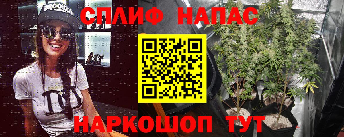 Серпухов  Бошки марихуана планчик  Вход с VPN  Бошки Шишки ГИДРОПОН 